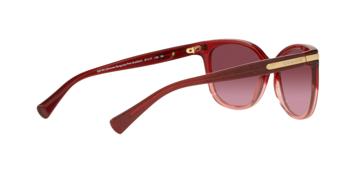 Coach HC8132 55518H L109 